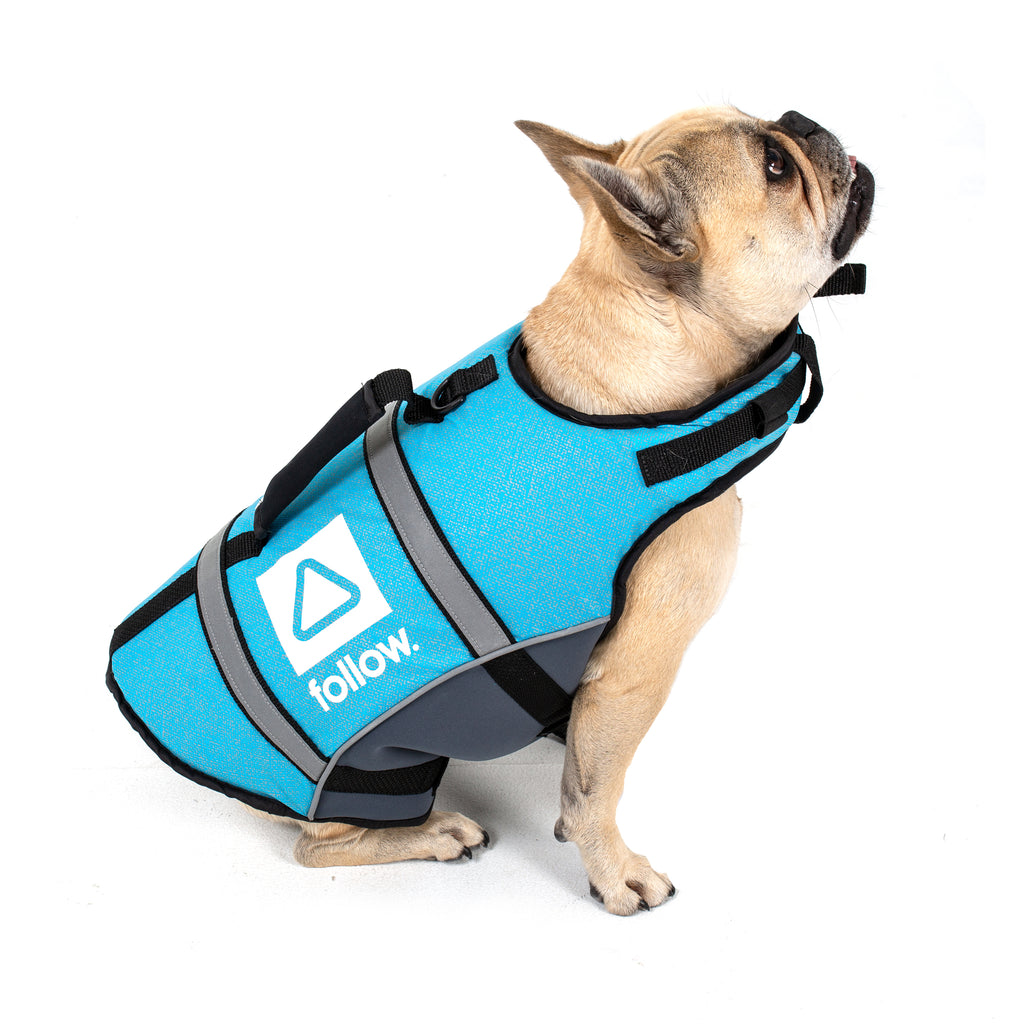 Dog floatation harness online